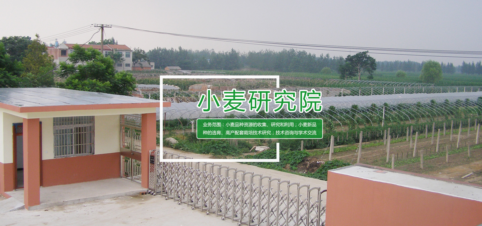 安徽华皖种业有限公司