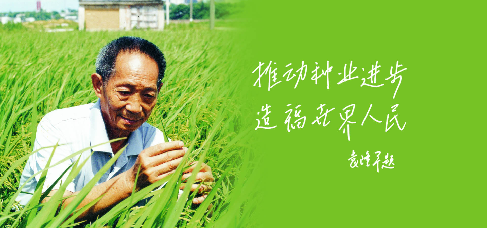 安徽华皖种业有限公司