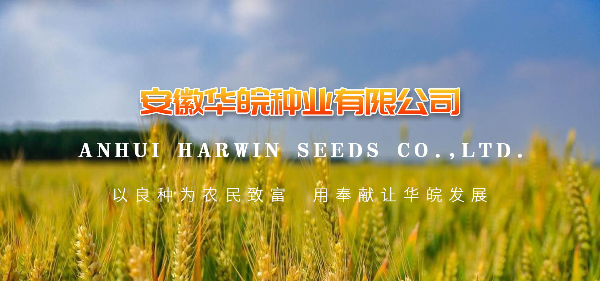 安徽华皖种业有限公司