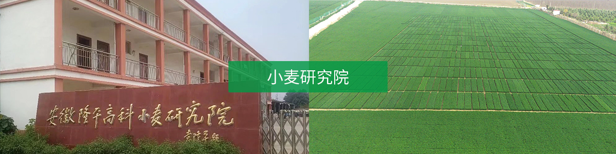 微信图片_20250904111800_22_189